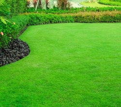Hills Gardening