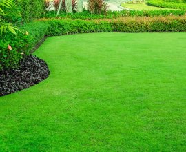 Hills Gardening