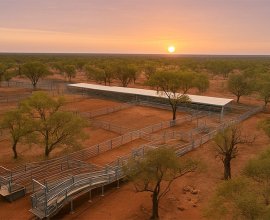 Cattle Yard Design