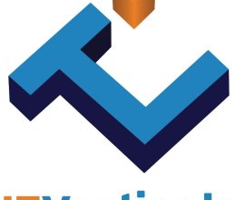 Dallas social media consultant