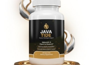 JavaTide Reviews