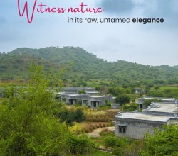 Best Resort in Jawai | Rosastays