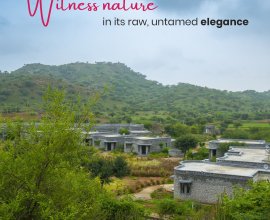 Best Resort in Jawai | Rosastays