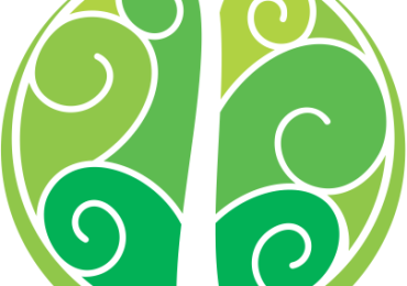 Bright Futures Chiropractic