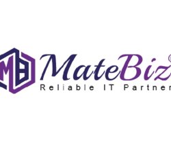 Matebiz Pvt Ltd