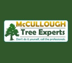 lot clearing sussex county nj
