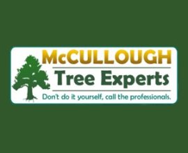 lot clearing sussex county nj