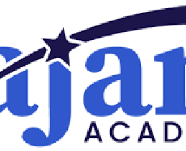 Online Quran Learning with Expert Tutors and Guidance