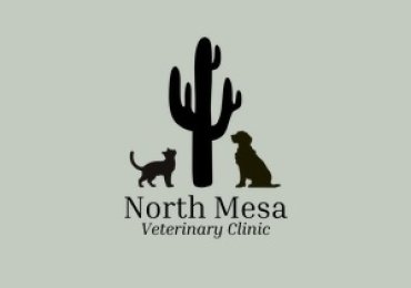 local veterinarian mesa az