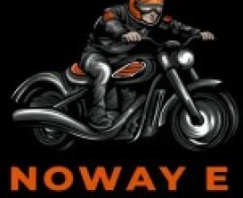 Nowaye Wendor