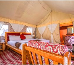 Ladakh Stay
