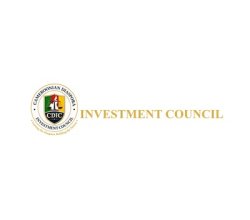 Cameroonian Diaspora Investment Council