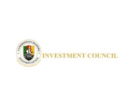 Cameroonian Diaspora Investment Council