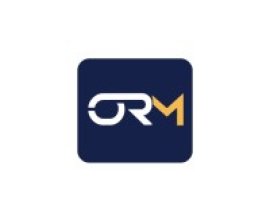Online Reputation Management Services