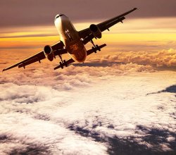 Newark Liberty Airport Security Wait Times