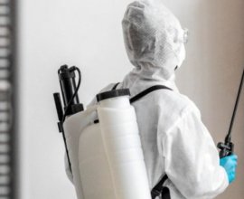 Wheeler’s Pest Control