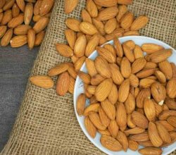 Organic Almonds Are the Healthiest Choice for Your Daily Diet