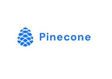 Pinecone Technology Limited