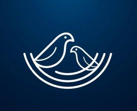 Nest Software Private Ltd