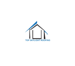 Top Skylight Roofing