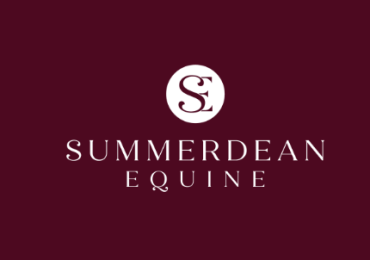 summerdeanequine