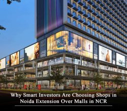 Shop in Noida Extension | Nirala Gateway