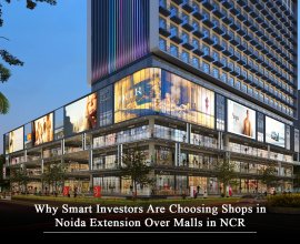 Shop in Noida Extension | Nirala Gateway