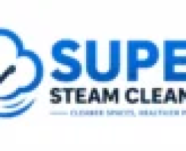 Super Steam Cleaners