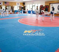 Online Buy Taekwondo Mats in India | Gravolite