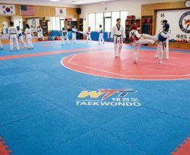 Online Buy Taekwondo Mats in India | Gravolite