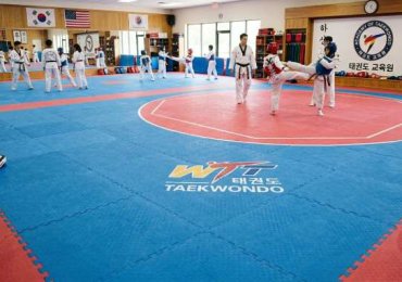 Online Buy Taekwondo Mats in India | Gravolite