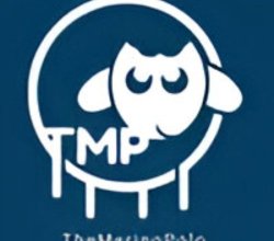 Natural Merino Wool Clothing for Everyday Comfort – The Merino Polo