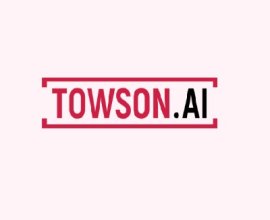 Towson Nederland BV