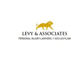 Levy & Associates