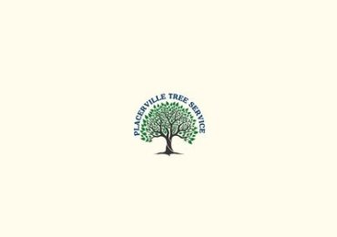 Placerville Tree Service