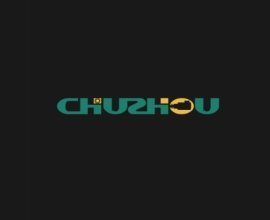 Foshan Chuzhou Motor Technology Co., Ltd.