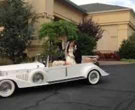 Wedding Party Bus Woodbridge