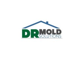 DR Mold Solutions