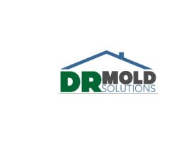 DR Mold Solutions