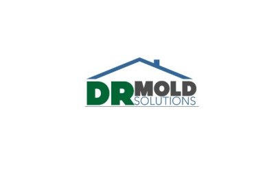 DR Mold Solutions