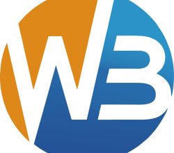 Web Brain InfoTech