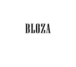 bloza.shop